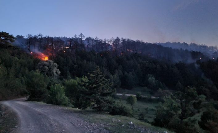 Eskişehir’de orman yangını