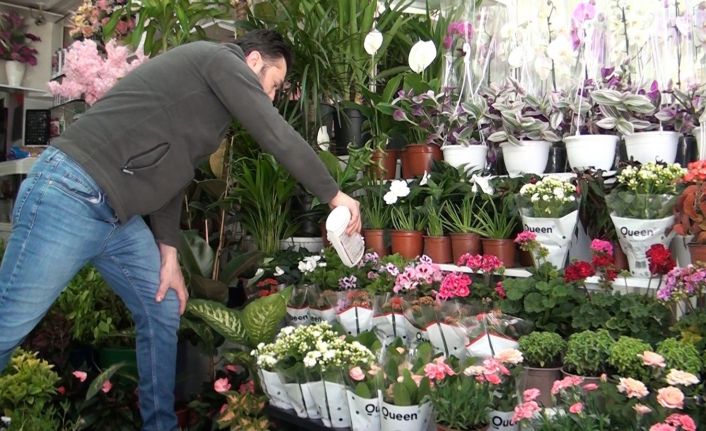 Evde çiçek bakımında su ve toprak tercihi hayati önem taşıyor