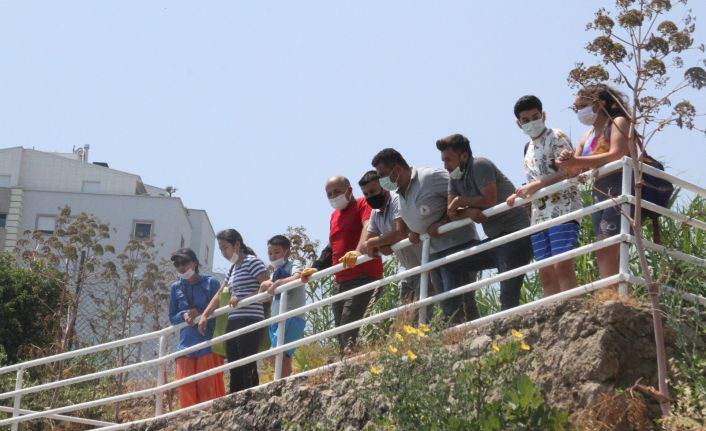 Falezlerde bulunan erkek cesedinin kayıp bilgisayar mühendisine ait olduğu tahmin ediliyor