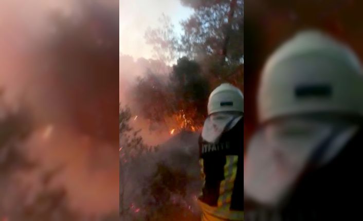 Fethiye’de ormanlık alanda çıkan yangın söndürüldü