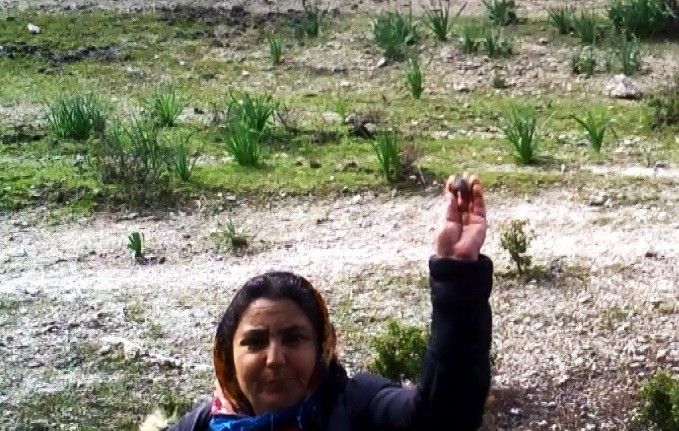 Fotokapan öyle bir görüntü kaydetti ki kimse ne yaptığını anlayamadı