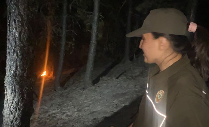 Gece karanlığından orman yangınına kadın eli