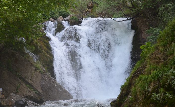 Her yıl ziyaretçi akınına uğruyordu, salgın nedeniyle bu yıl boş kaldı