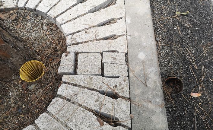 Kartal’da yarım asırlık ağaçlara ‘Nefes Borusu’ ile can veriliyor