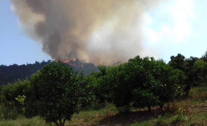 Kastamonu’da ormanlık alanda çıkan yangın kontrol altına alındı