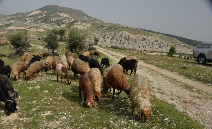 Kilis’te Orköy projesi kapsamında 400 bin TL’lik destek