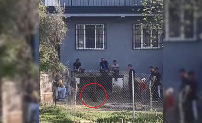 Kısıtlamada horoz dövüşü kamerada