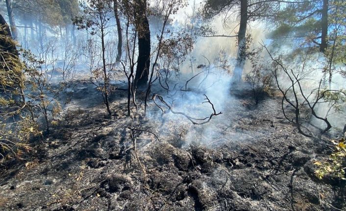 Kısıtlamada mangal yakan 3 kafadar 5 hektar ormanı kül etti