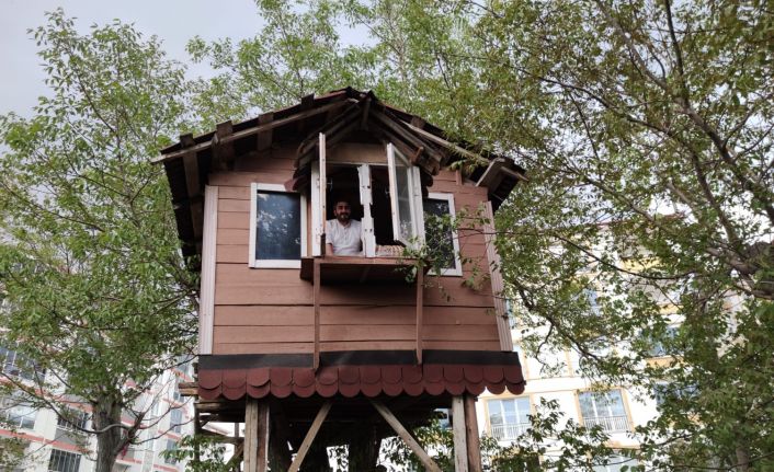 Korona virüsten korunmak için ‘ağaç kondu’ yaptılar