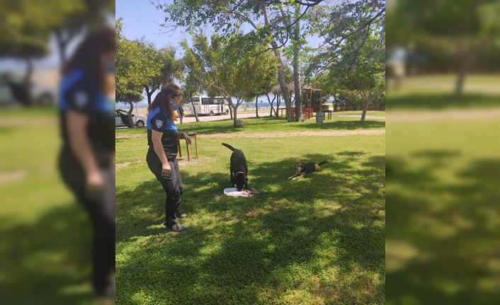 Kumluca’da polislerden sokak hayvanlarına su ve mama desteği