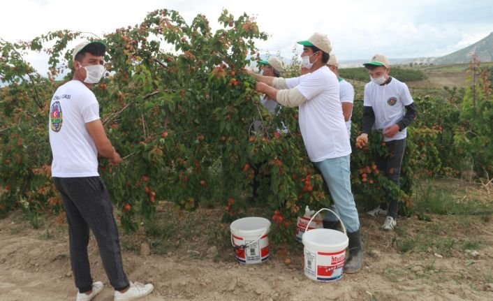 Mersin’de tarım işçilerine korona tedbiri