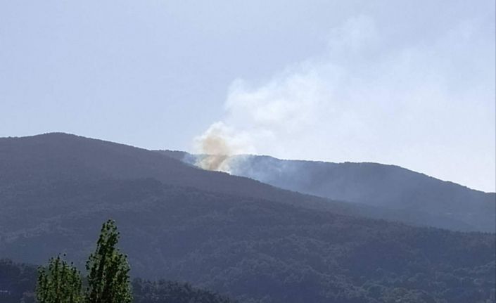 Orman yangınında 3 dönümlük alan küle döndü