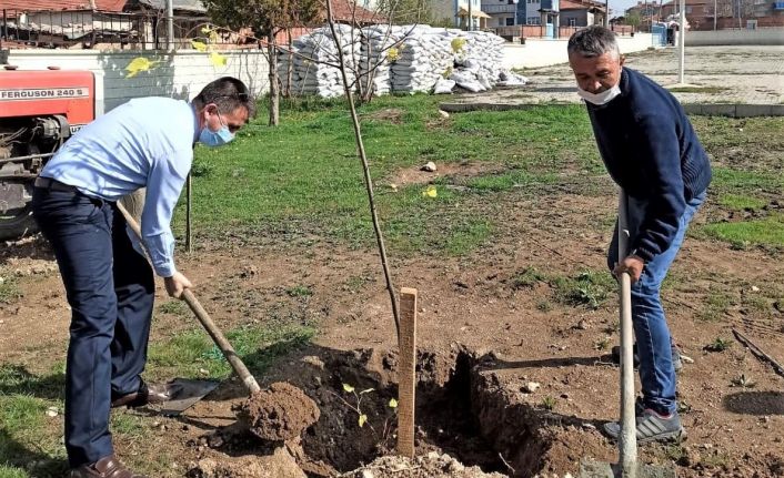 Ortaokul bahçesi ağaçlandırıldı