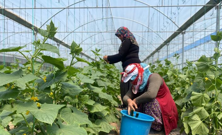 (ÖZEL) Bu yöntem sayesinde vatandaşlar meyve ve sebzeleri ucuza satın alıyor