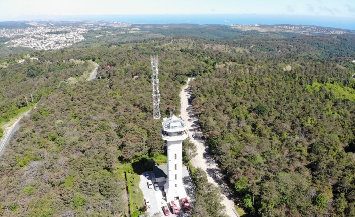 (Özel) İstanbul Orman Bölge Müdürü Yusuf Şahin, yangınlara karşı vatandaşları uyardı