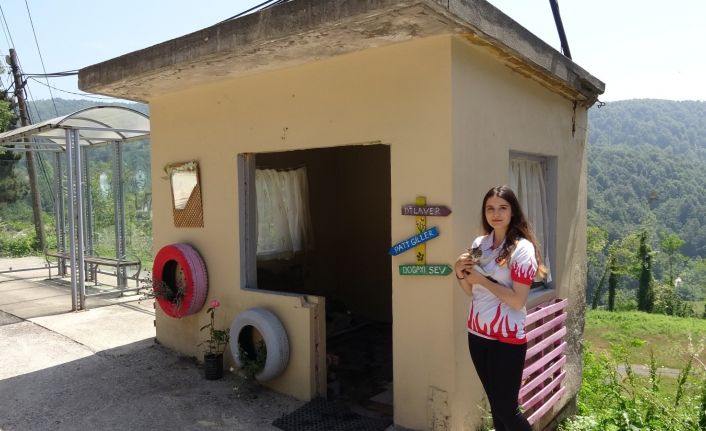 (Özel) Kendi imkanlarıyla harabe olan kulübeyi sokak hayvanları için ev yaptı