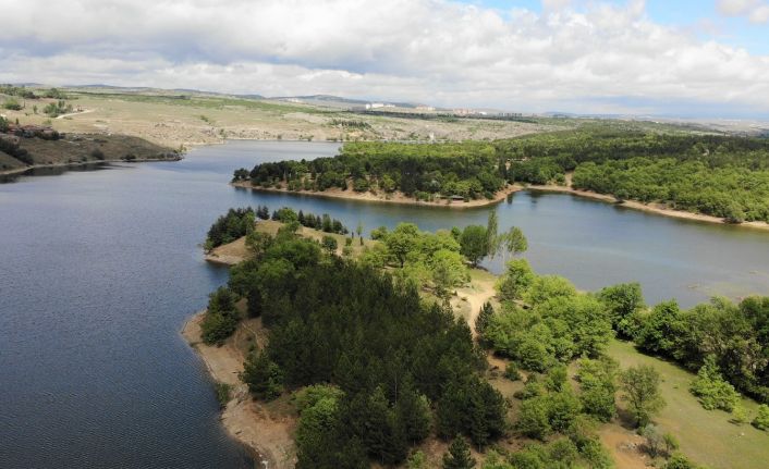 (ÖZEL) Maviyle yeşil buluştu