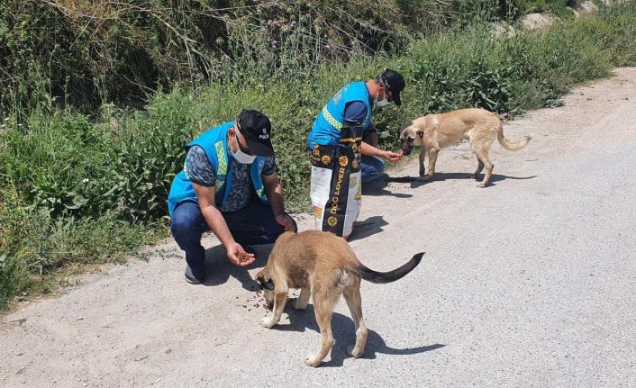Polis sokak hayvanlarını unutmadı