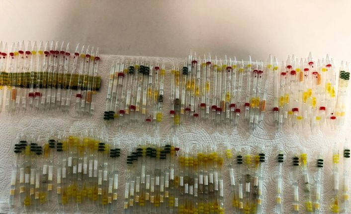 Sarp Sınır Kapısı’nda toplam 230 tüp arı ve kobra yılanı zehri ele geçirildi