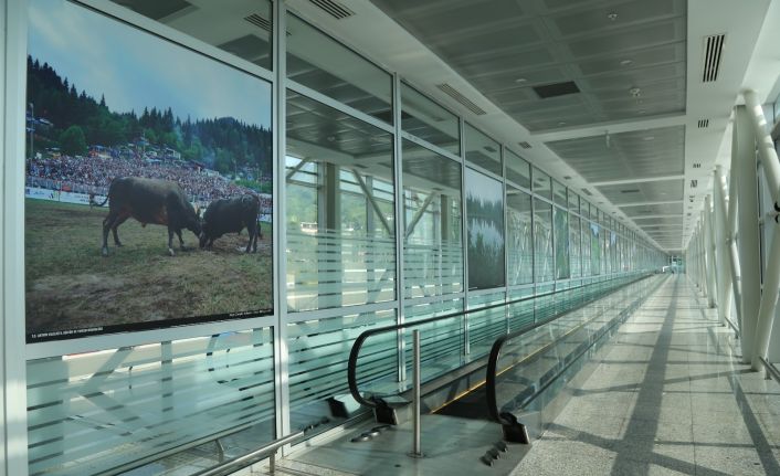 Sarp Sınır Kapısı’nın 1 Haziran’da turist geçişlerine açılacak olması bölge esnafını heyecanlandırdı