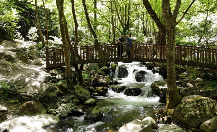 Şehir merkezine bir kilometre mesafedeki tabiat harikası yeri gören hayran kalıyor