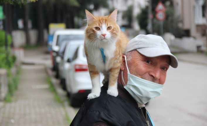 Şehir şehir, sokak sokak kedisini omuzunda gezdiriyor
