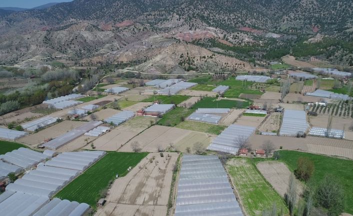 Sera bitkisel atıklarından ayda 6 bin kilogram organik gübre elde edilecek