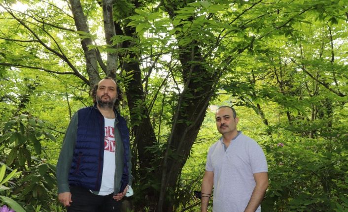 Sürdürülebilir orman yönetimine ve ekosistemine katkı sağlayacak proje hayata geçiyor