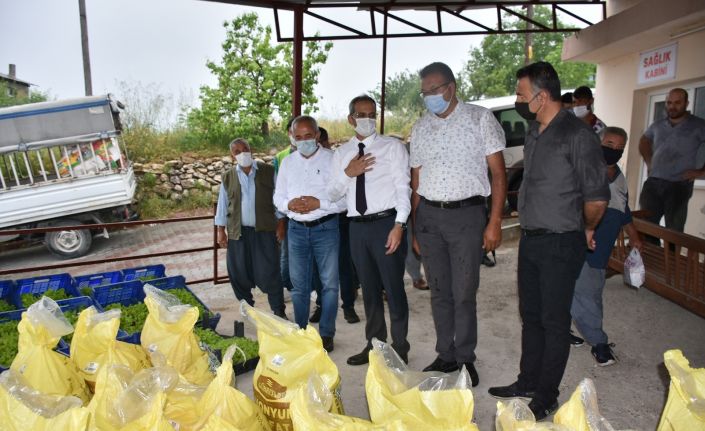 Tarsus Belediyesinden doludan zarar gören çiftçileri 7 ton gübre, 50 bin marul fidesi