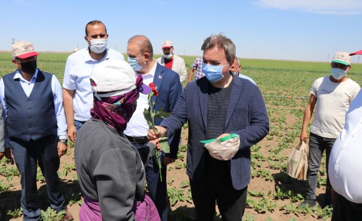 Vali traktörle tarlayı sürüp çapa yaptı, kadın çiftçilere gül verdi