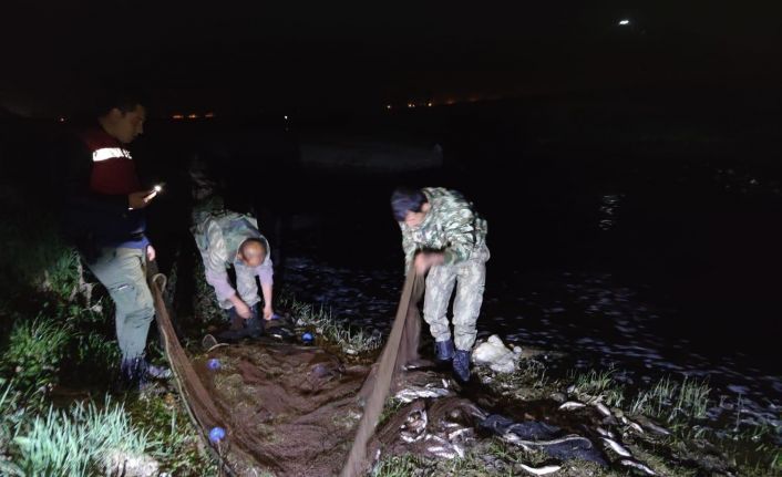 Van Gölü’nde kaçak avlanan 16 bin 200 ton inci kefali ele geçildi