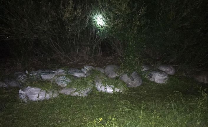 Van’da 2,5 ton kaçak avlanmış inci kefali ele geçirildi, 29 bin TL ceza kesildi