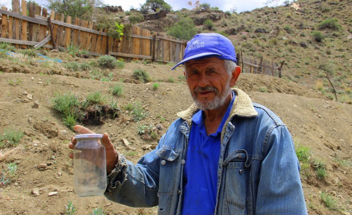 Yetişmez denilen bitkiyi konserve kavanozunda yetiştirip ardından toprakla buluşturdu