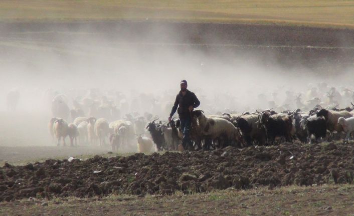 30 koyunla başladı, devlet desteğiyle çiftlik kurdu