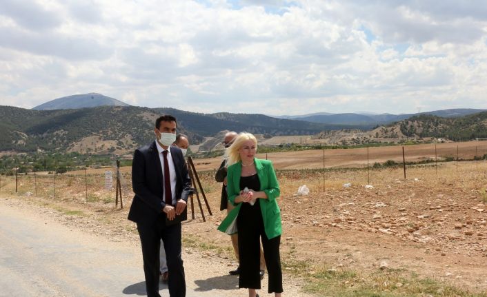 Akdeniz Üniversitesi aromatik bitkileri işleyerek ekonomik değere dönüştürecek