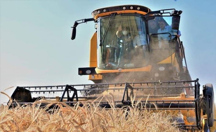 Aksaray 1 milyon 300 bin ton arpa üretimiyle Türkiye’de 7. sırada