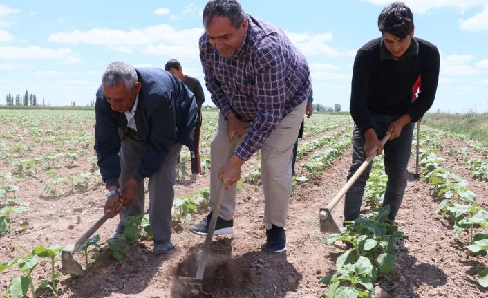 Aksaray’da tarımsal üretim hız kesmeden devam ediyor