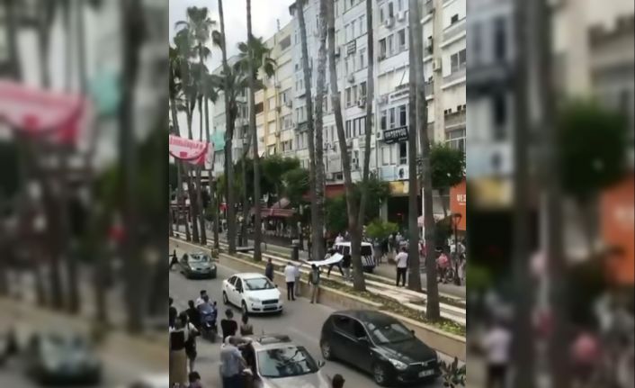 Antalya’da 20 metre uzunluğunda palmiye ağacına çıkan kedi vatandaşların açtığı brandaya düştü