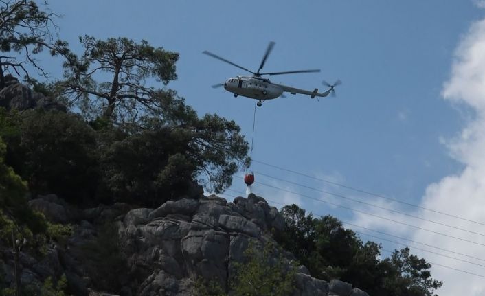 Antalya’da çıkan orman yangınında 1 dekarlık alan zarar gördü