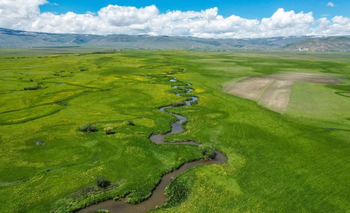 Ardahan ovasında akan derelerin oluşturduğu menderesler görsel şölen sunuyor