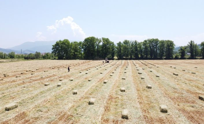 Asgari ücretle çalışırken kendi işlerinin patronu oldular