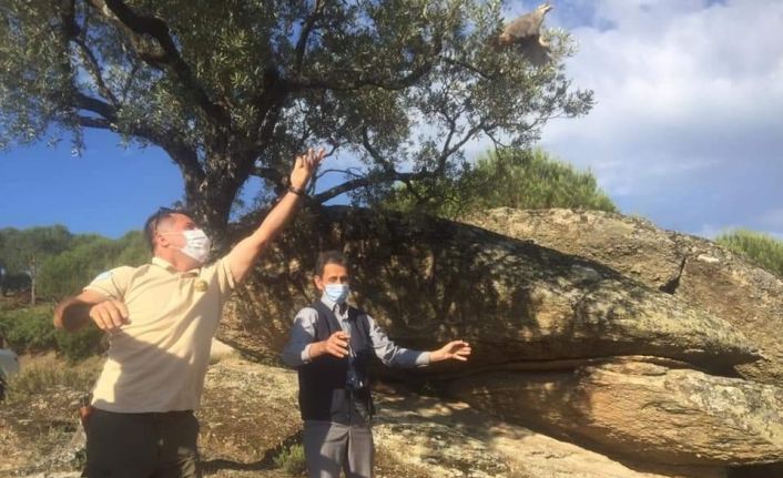 Aydın’da yüzlerce keklik doğaya salındı