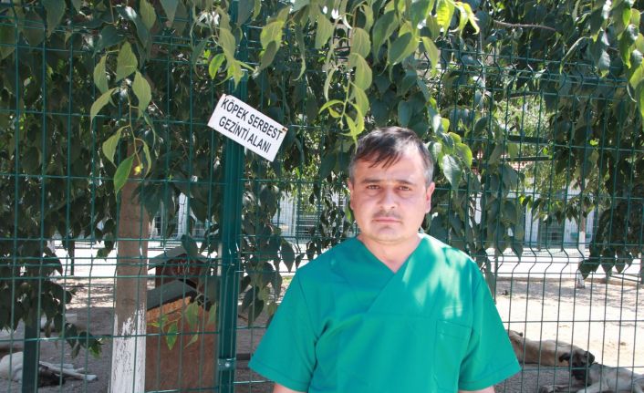 Bahçe ve balkonlarda uzun süre ağzı açık bırakılan su birikintilerinde sivrisinek riski