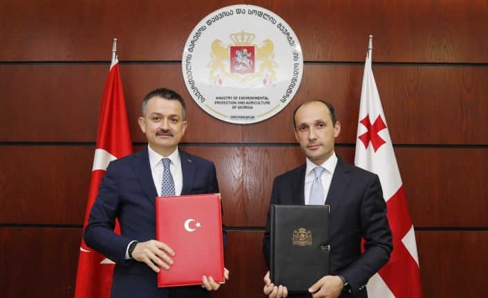 Bakan Pakdemirli, Gürcistan Çevre Koruma ve Tarım Bakanı Davitaşvili ile görüştü