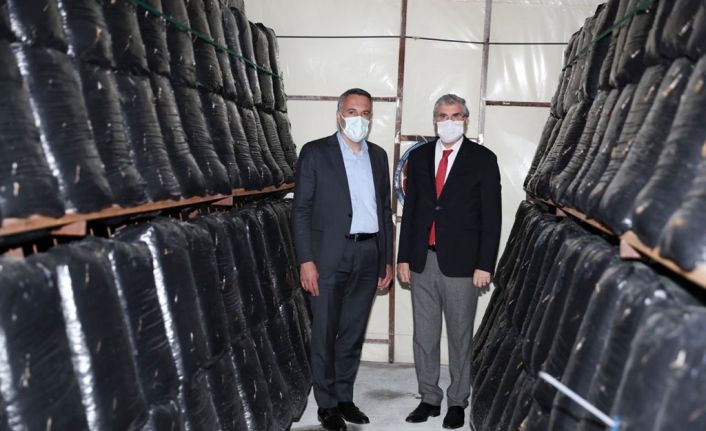 Başkan Yüce: “Tarımda ürün çeşitliliğini artıracak hamlelerimiz sürecek”