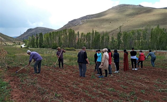 Bayburt’ta yaşlılar ve çocuklar bir araya gelip toprağa hayat verdi