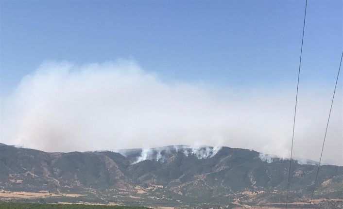 Bingöl Valiliği: “Yaklaşık 2 bin-2 bin 500 hektar alanın yangından etkilendiği değerlendirilmektedir”