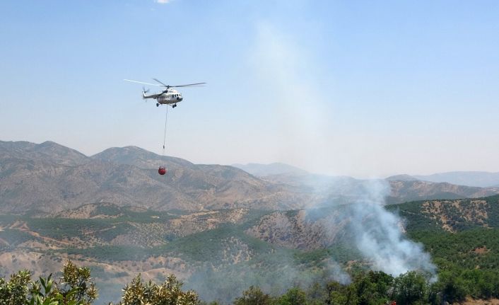 Bingöl’de iki gündür süren orman yangınına havadan ve karadan müdahale ediliyor