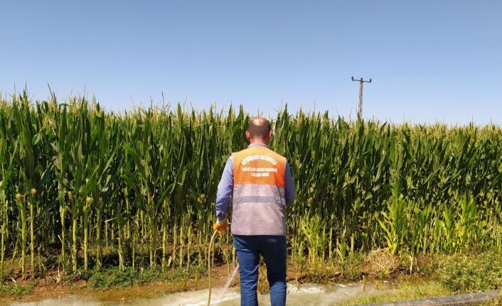 Bismil’de haşere ile mücadele çalışmaları devam ediyor