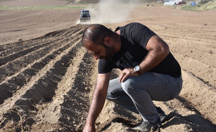 Bitlis’te fasulye ekimine başlandı